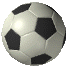 soccer.gif (39959 bytes)